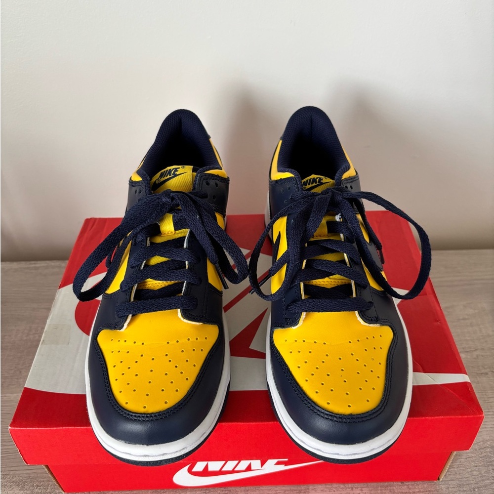 Nike Dunk Low Michigan (2021)